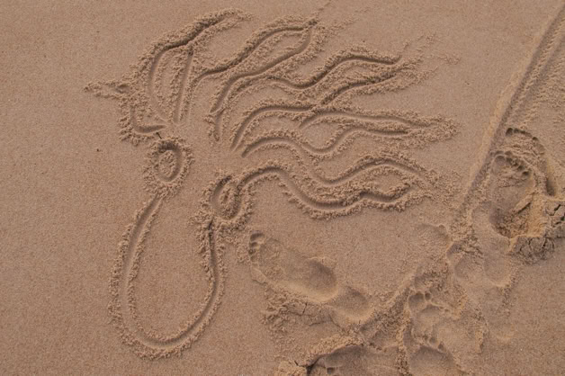 dessins éphémères sur le sable mouillé à marée basse