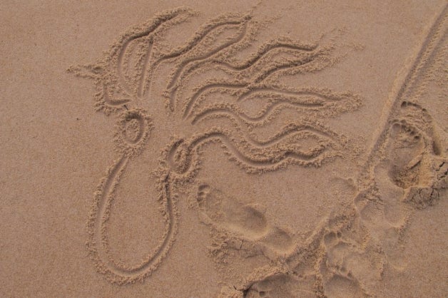 dessins éphémères sur le sable mouillé à marée basse