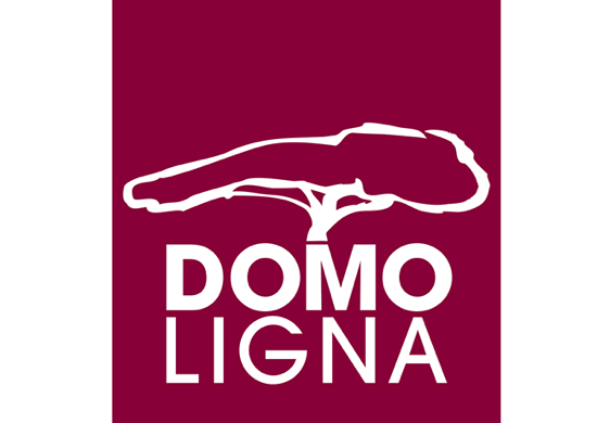 Domo Ligna était un projet de société de construction en bois, le nom Domo Ligna vient du latin Domus : la maison et Ligna : le bois ©contraste