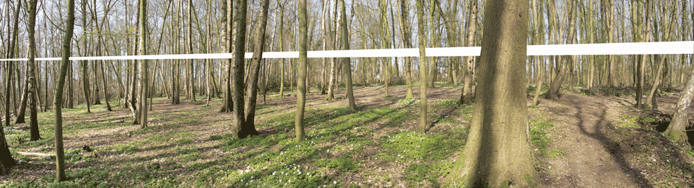 Projet d'implantation en Forêt  Land Art