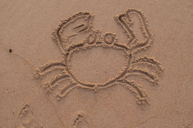 dessins éphémères sur le sable mouillé à marée basse