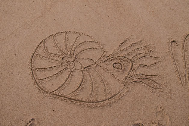 dessins éphémères sur le sable mouillé à marée basse