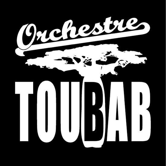 l'orchetre Toubab groupe de musique fusion Afrique/Amérique du Sud