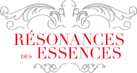 projet d'identité visuele pour un parfumeur 