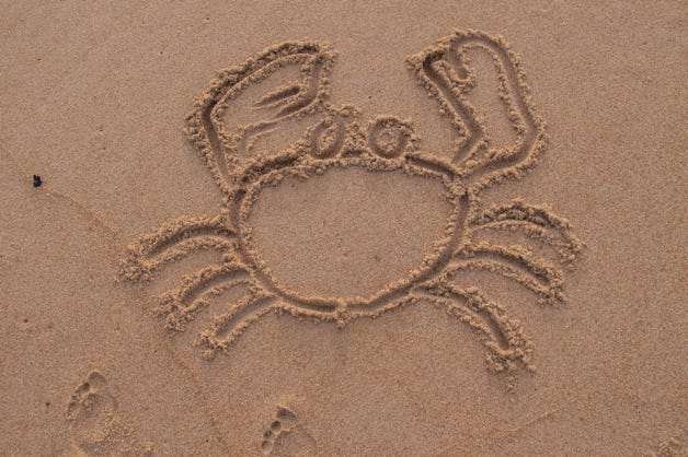 dessins éphémères sur le sable mouillé à marée basse